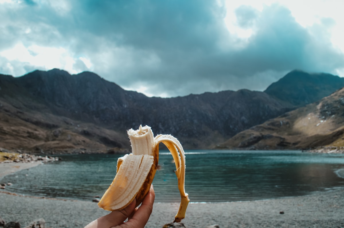 Carbohidratos y Energía